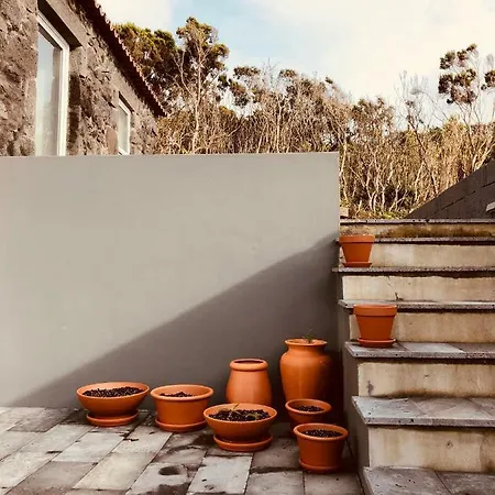 Casa D'avo Francisco Country house Madalena (Azores)
